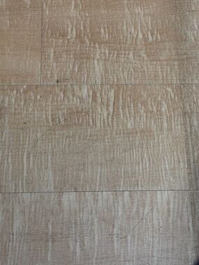 Meet your Posher, Pup